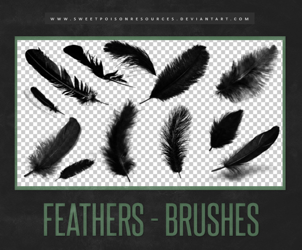 feather brush photoshop free download