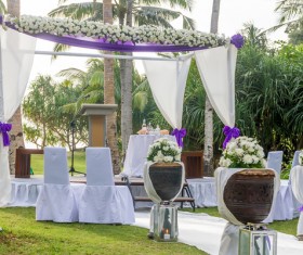 All kinds of beautiful wedding arch Stock Photo 13