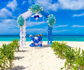 All kinds of beautiful wedding arch Stock Photo 15