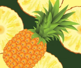 Ananas with pineapple slices vector