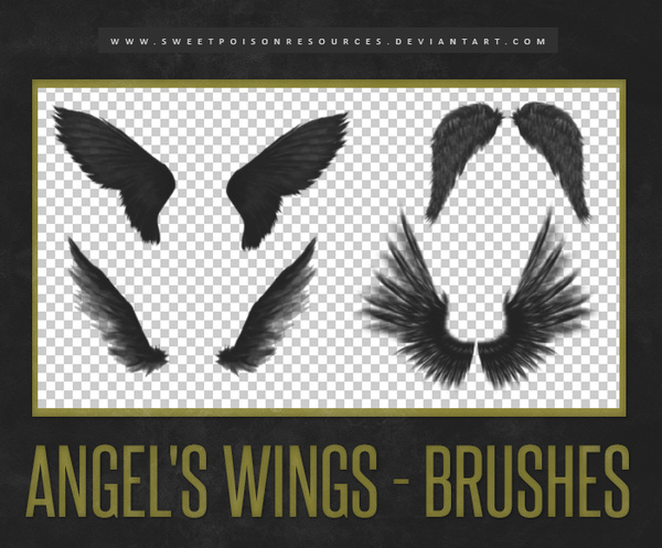 angel wings brushes for photoshop free download
