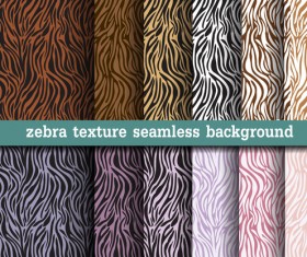 Animal zebra texture seamless pattern vector