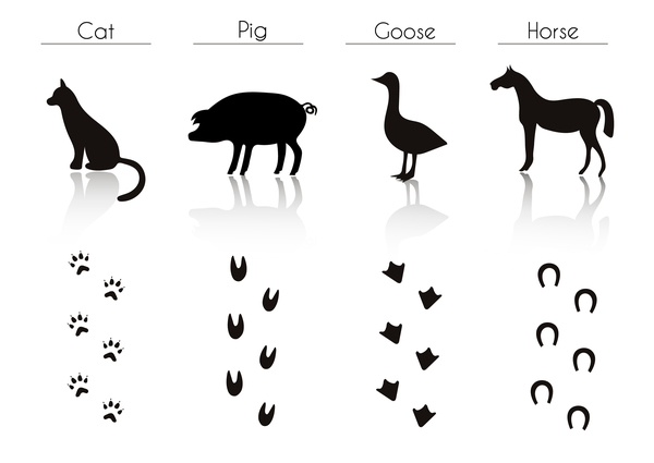 Animals with footprint silhouette vector material 01