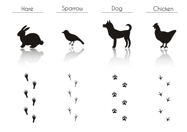 Animals with footprint silhouette vector material 02
