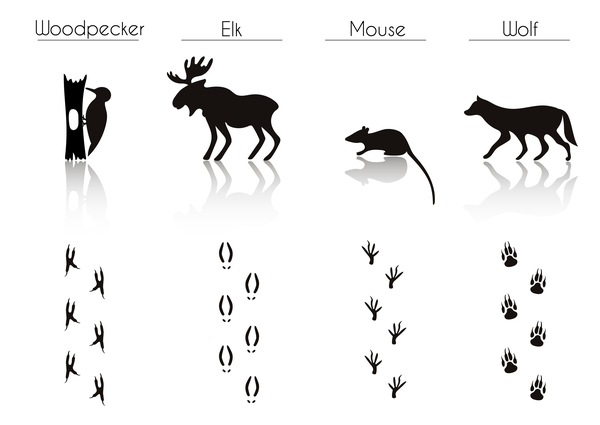 Animals with footprint silhouette vector material 03