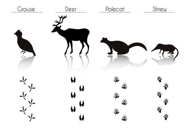 Animals with footprint silhouette vector material 04