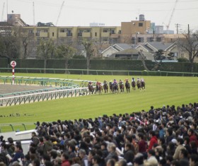 Asia intense horse racing Stock Photo