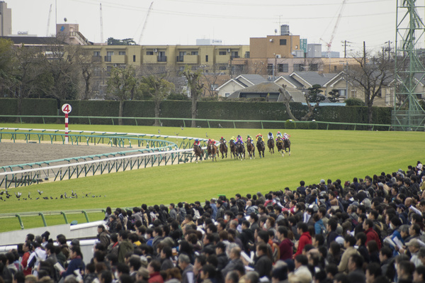 Asia intense horse racing Stock Photo