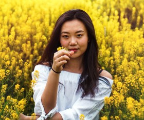 Asian girl sitting in yellow flowers Stock Photo
