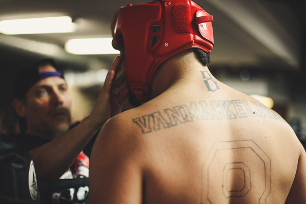 Boxer with tattoo on back Stock Photo