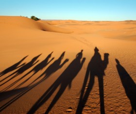 Camel caravan reflection in the desert Stock Photo 01