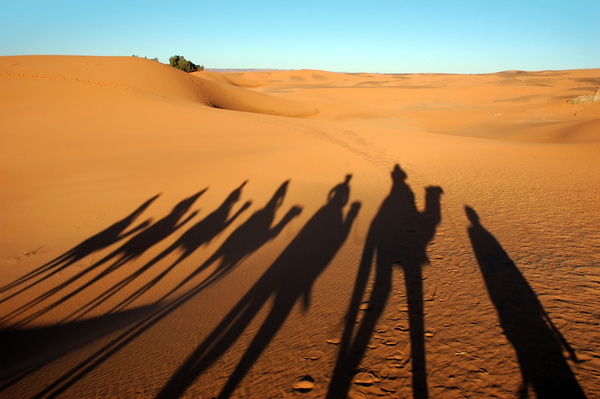 Camel caravan reflection in the desert Stock Photo 01