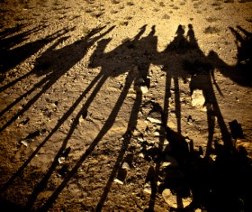 Camel caravan reflection in the desert Stock Photo 02