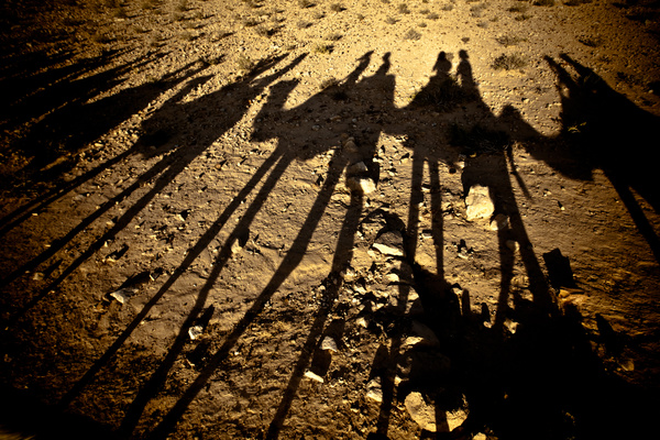 Camel caravan reflection in the desert Stock Photo 02