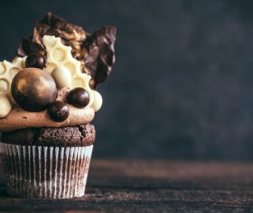 Chocolate-flavored cupcakes Stock Photo 05