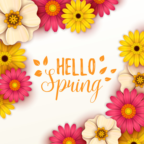 Colored flower with hello spring background vectors 12