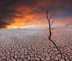 Desolate deserted land Stock Photo