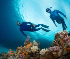 Diver with beautiful underwater world Stock Photo 02