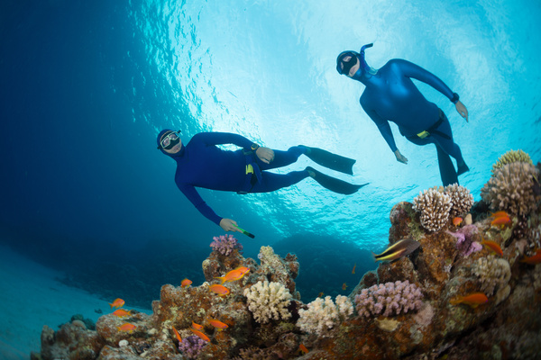 Diver with beautiful underwater world Stock Photo 02