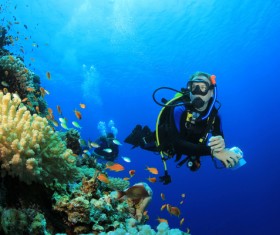 Diver with beautiful underwater world Stock Photo 03