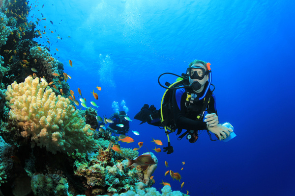 Diver with beautiful underwater world Stock Photo 03