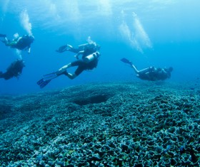 Diver with beautiful underwater world Stock Photo 04