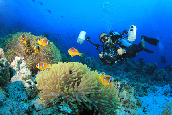Diver with beautiful underwater world Stock Photo 06