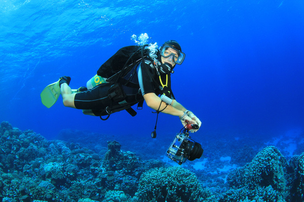 Diver with beautiful underwater world Stock Photo 08