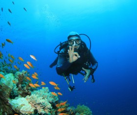 Beautiful underwater coral reefs with fish Stock Photo 02 free download