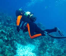 Diver with beautiful underwater world Stock Photo 10