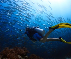 Diver with beautiful underwater world Stock Photo 12