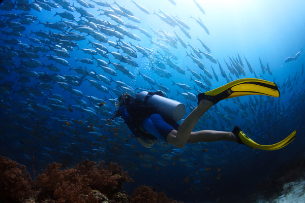 Diver with beautiful underwater world Stock Photo 12