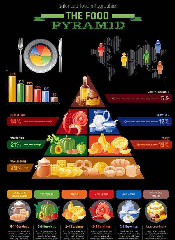 Fast food infographic vectors 02
