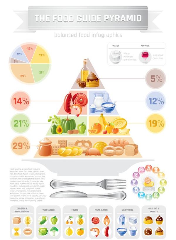 Fast food infographic vectors 03