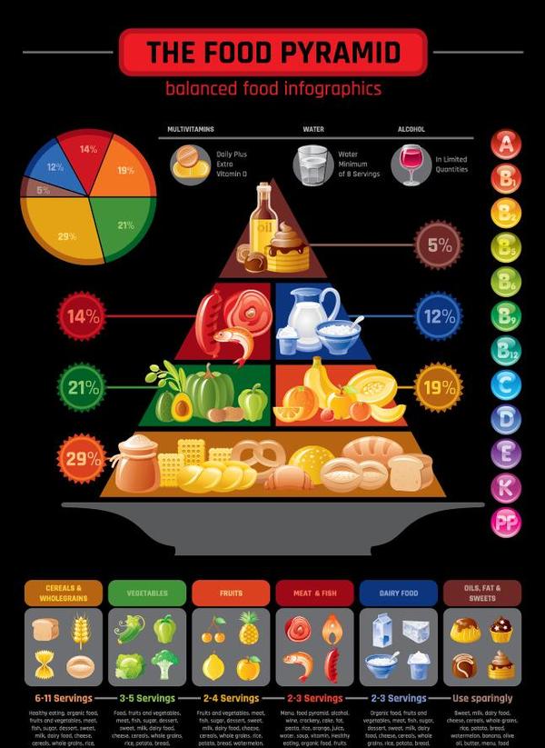 Fast food infographic vectors 04
