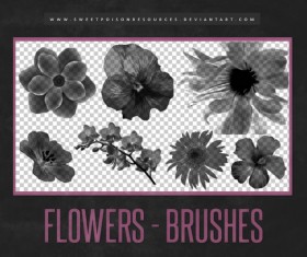 flowers vector for free download