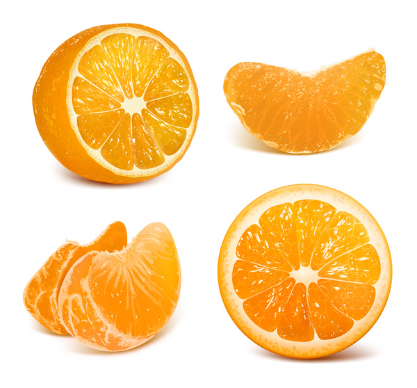 Fresh citrus illustration vector 05