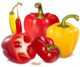 Fresh pepper illustration vector 01