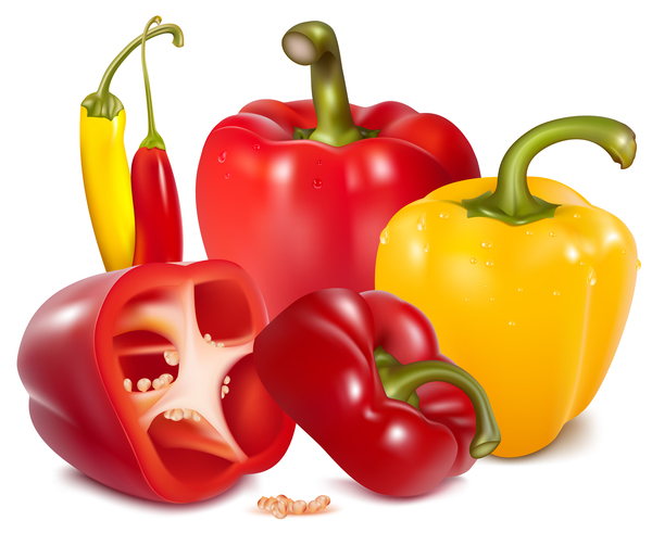 Fresh pepper illustration vector 01