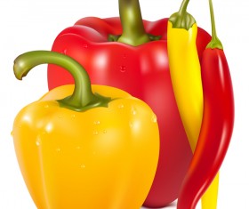 Fresh pepper illustration vector 02