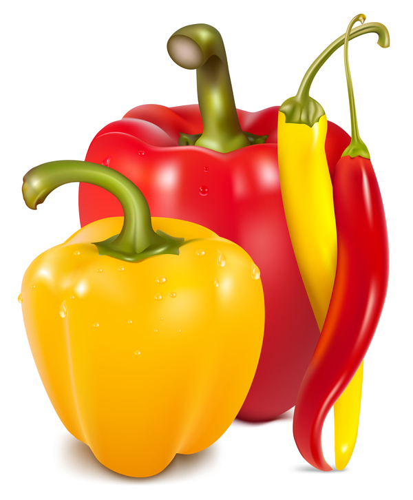 Fresh pepper illustration vector 02