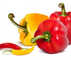 Fresh pepper illustration vector 05