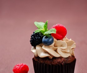 Fruit cupcakes Stock Photo 03