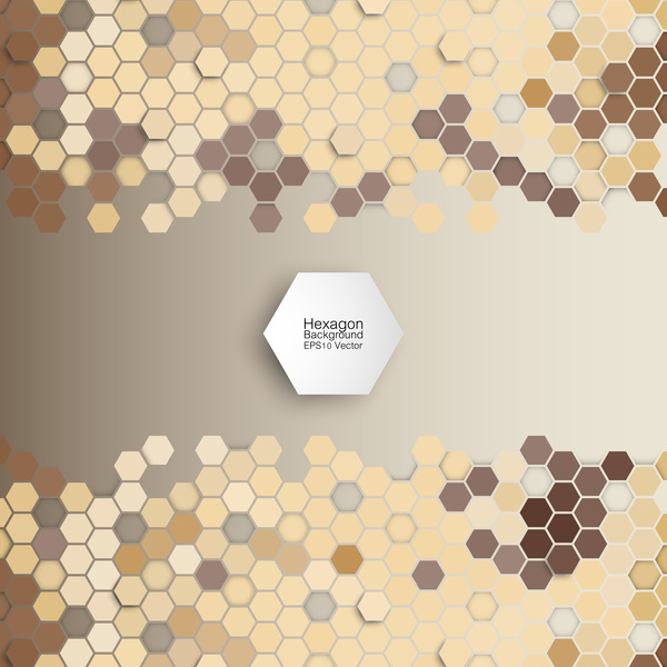 Hexagon modern background vector