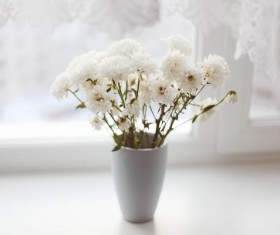 Home white vase flower arrangement Stock Photo