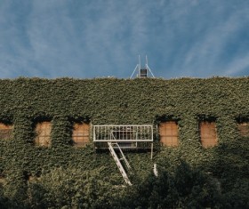 House covered with green trees decoration Stock Photo