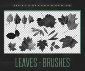 Leaves Photoshop Brushes
