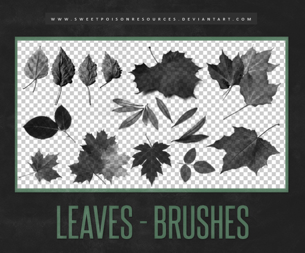 Leaves Photoshop Brushes