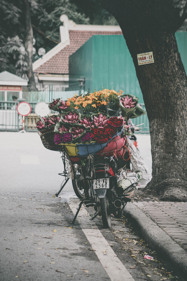 Motorcycle carrying flowers Stock Photo