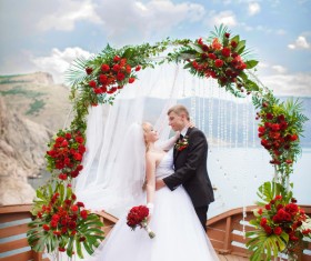 Newlyweds Stock Photo 03